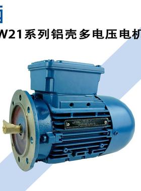电动机三相低压电机异步马达W21-0.25W04P71-220/380/46050HZ