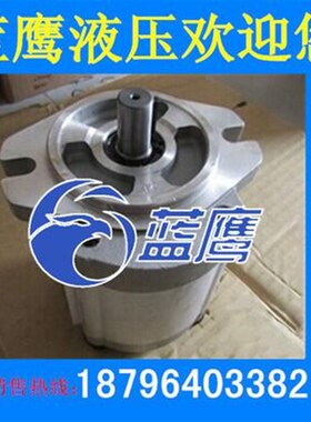 RGP-F306R/F308R/F310R/R312R/314R/F316R/F320R/F325R齿轮油泵RN