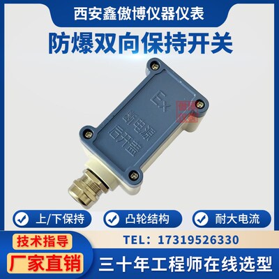 磁翻板液位计报警双向保持开关捆绑式凸轮感应防爆液位控制发讯器