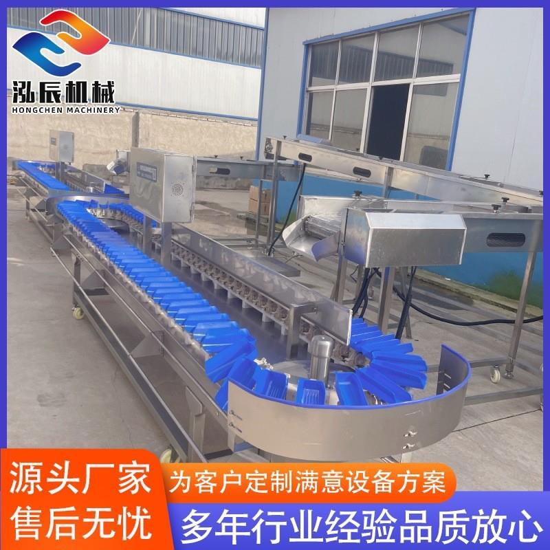 厂家供应果蔬分级机 鸡爪鸡翅白条多级重量分级机 全自动分选机