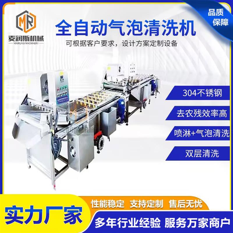 圣女果洗果机大枣清洗机 菠菜清洗机蓝莓清洗机 银耳气泡式清洗机