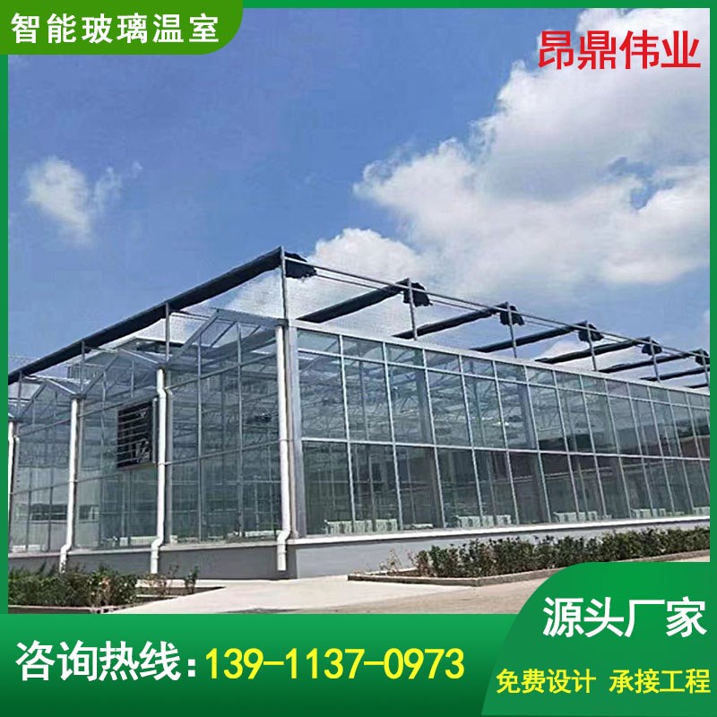 智能玻璃温室大棚阳光板自动化大棚内外J遮阳系统连体农业蔬菜温