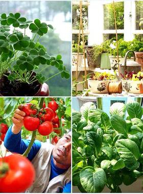 3030植物红灯珠INK1w红6照60665nm3-030植物明灯珠85光0nm红外光