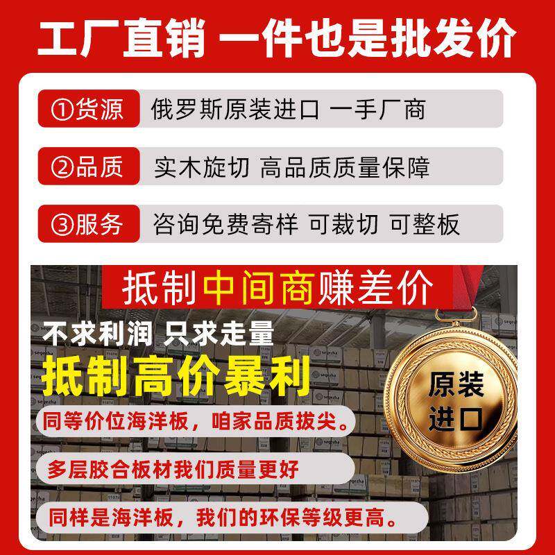 洋板原装进口segezh桦a全木木胶合板家具板音响无品牌/板海桦多层