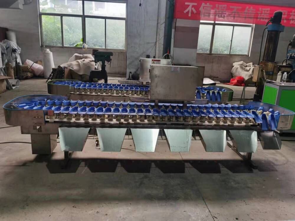 FGX-DZ型电子选果机各种水果蔬菜等级分选大小重量尺寸分选ce认证