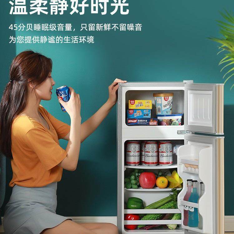 能小冰箱家无品牌/节室用小宿舍租房用迷你省电办型公双门电冰箱