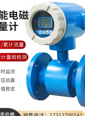 电磁流量计水液体数显管道式传感器污水河道智能一体DN50/100/200