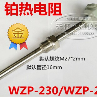PT100铂热电阻 WZP 230 231 固定螺纹热电偶 PT100温度感测器