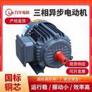 7.5w多功率普通电机食品机械电机 三相异步电机YE2 160M