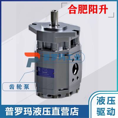 液压齿轮泵CBF-F410/F414/F416/F418/E450-ALPL/ALHL油泵