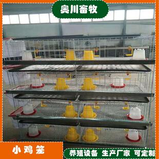 鸡笼不锈钢鸡笼鸡舍/养殖厂鸡笼/小鸡笼/四层两门小鸡笼/育雏鸡笼
