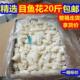 冷冻目鱼花鱿鱼花20斤新鲜海鲜鱿鱼墨鱼花鱿鱼卷鱿鱼火锅食材