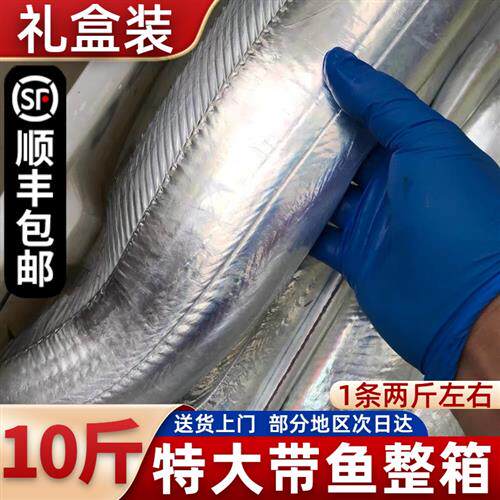 特大带鱼新鲜冷冻整箱10斤礼盒装舟山野生渤海湾刀鱼鲜活海鱼海鲜