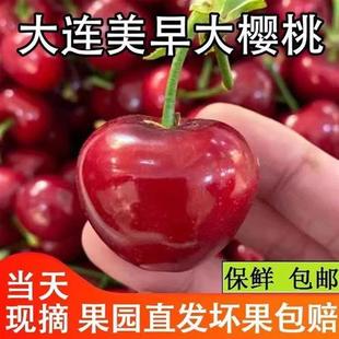 大连美早大樱桃5斤国产新鲜车厘子礼盒现货4j应当季孕妇水果包邮