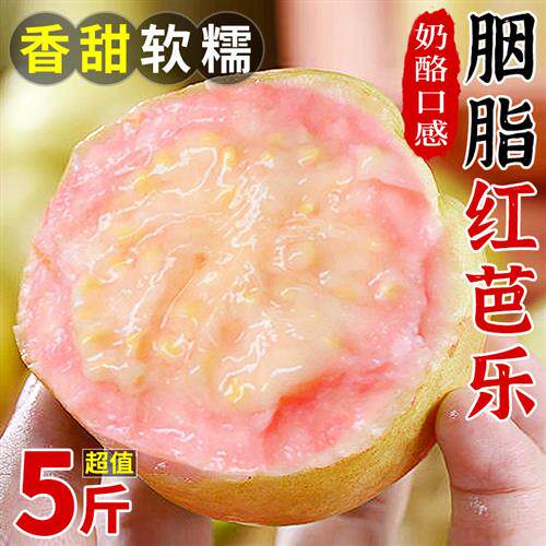 胭脂红芭乐5斤红心番石榴软糯鸡屎果孕妇应季水果潘巴乐整箱包邮