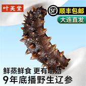 叶芙堂大连野生鲜蒸海参孕妇即食鲜活海生辽参刺参礼盒官方经营店