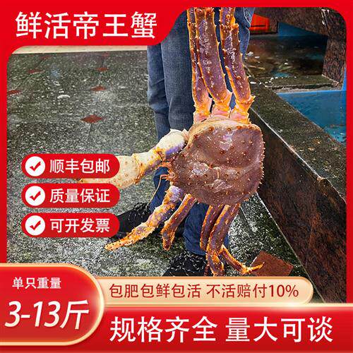 鲜活阿拉斯加帝王蟹超大螃蟹肉蟹长脚蟹活活发货只只生猛大螃蟹