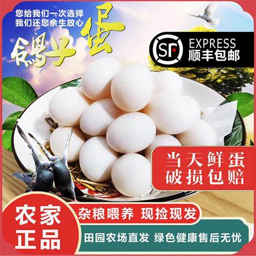 鸽子蛋新鲜30枚610g以上农家杂粮正宗鸽蛋孕产妇宝宝辅食顺丰包邮