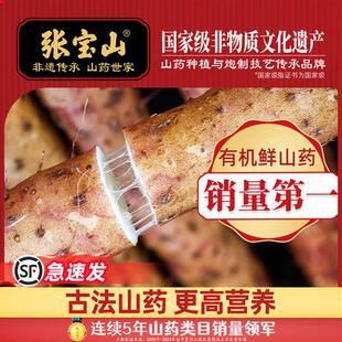 张宝山河南焦作铁棍山药温县古法种植怀淮山药新鲜淮山药50cm5斤