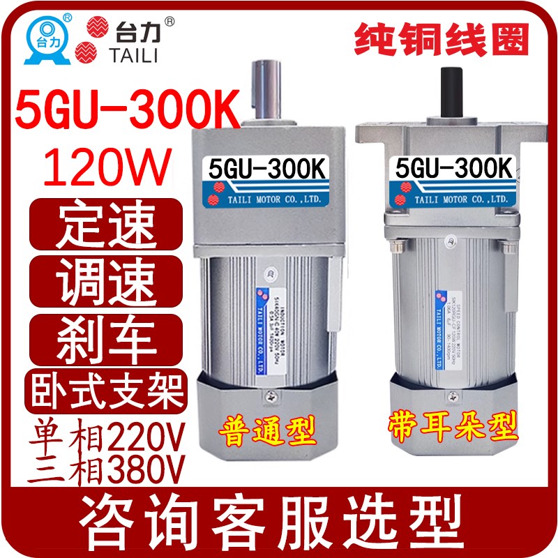 5GU-300K台力120W定调速减速电机电机5IK120GU-CFSF5IK120RGU-CF