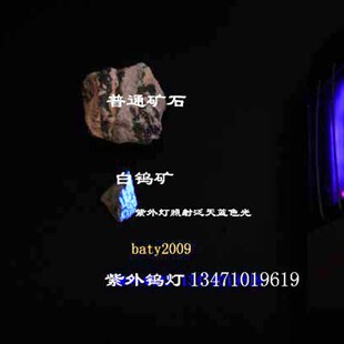 紫外探矿灯*白钨探矿灯*白钨灯*钨矿探矿灯*ZWD-8型 大功率