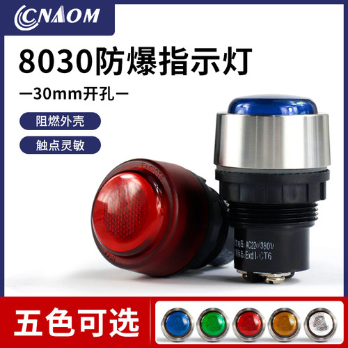 BD8030防爆防腐电源指示灯信号灯开孔30MM  防爆箱指示灯220V