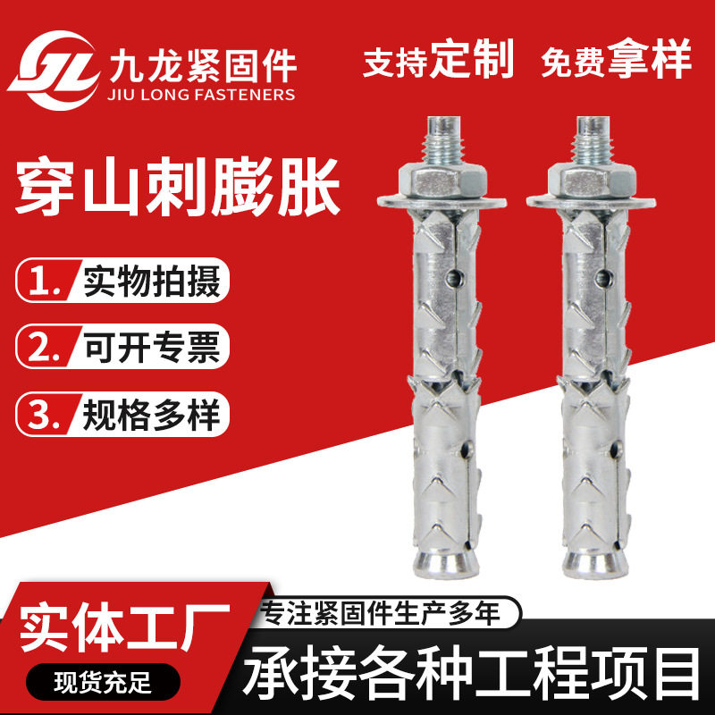 穿山刺加气块高强度镀锌锚栓