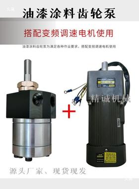 轮喷泵齿电机组5CC6CC油漆输泵水性涂料定量GOV静电送漆计量供漆