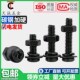 M2M3M4 大全加长盘头机牙螺钉平弹垫 M6黑色圆头十字螺丝螺母套装