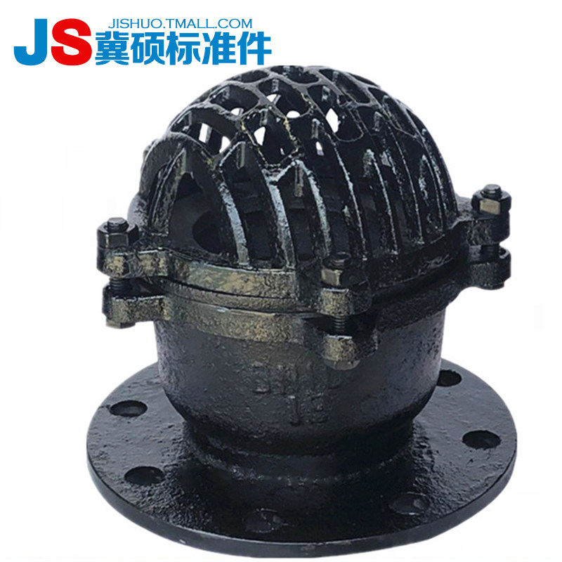 H42X-6法兰底阀 单向阀止回阀 铸铁水泵底阀DN50 80 100 150 200,农用物资,苗木固定器/支撑器,淘宝优惠券,粉丝福利购,淘宝优惠卷