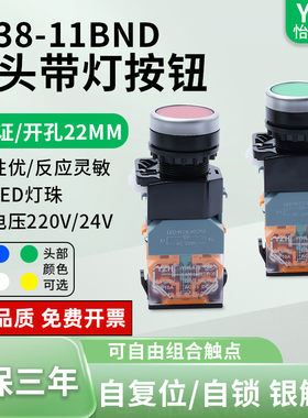 怡华LA38-11DN带灯平头按钮220V24V自锁复位电源启动停止开关22mm
