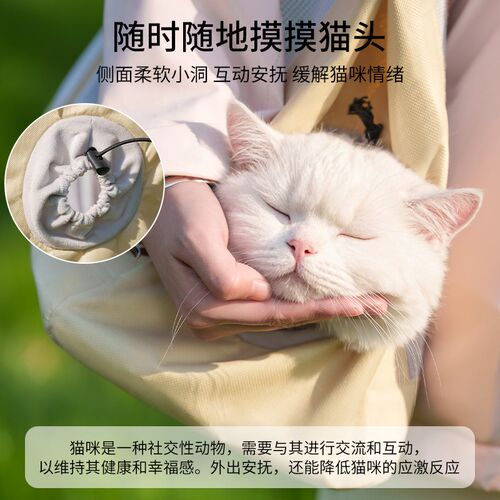 猫包单肩外出手提拎袋子中小型y犬狗背包宠物透气大容量斜跨帆布