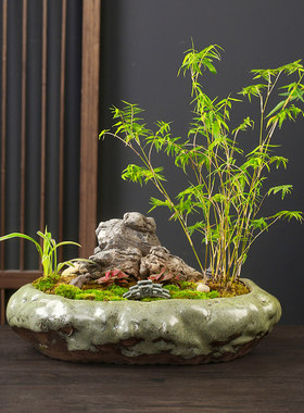 多肉陶瓷花盆大口径30以上的创意兰花文竹蝴蝶兰六月雪吊兰盆景盆