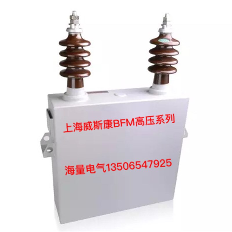 直销上海威斯康高压电力电容器BFM10.5-100-1 补偿电容器