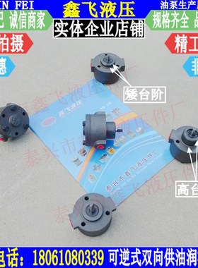 1RA-2FS CRA CYP DRA IRA BMB-3FS润滑泵 可逆式摆线双向油泵DRP