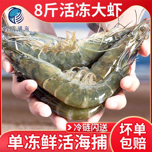 虾鲜活速冻大虾鲜活超大青岛大虾海鲜海虾鲜虾基围虾冰虾冻虾特大