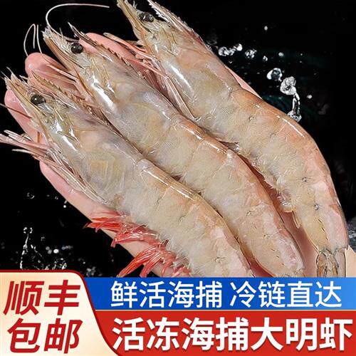 特大海捕明虾鲜活速冻野生对虾白虾超大基围虾类海鲜水产顺丰包邮