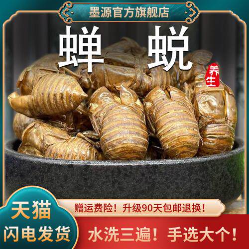 蝉蜕中药材500g克蝉衣蝉壳知了金蝉知了猴壳皮结了龟非野生蝉退粉