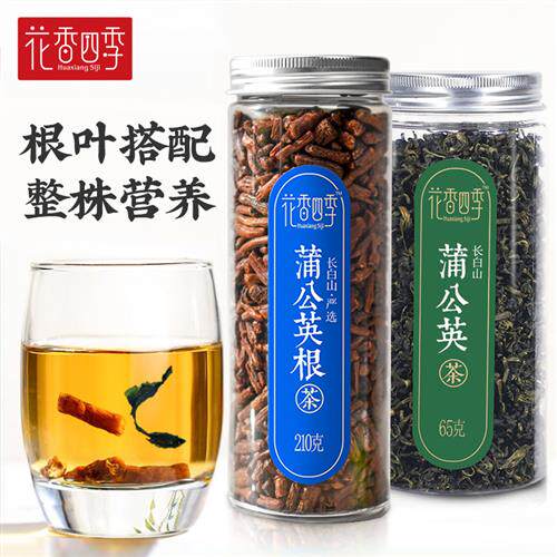 蒲公英根茶蒲公英叶茶组合 长白山野生浦公英叶根那个好炒熟