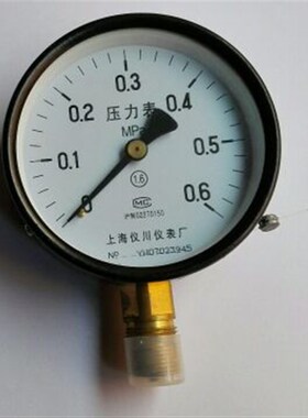 支持国货 厂家上海仪川仪表厂压力表 y-100 0-0.6mpa m20x1.5