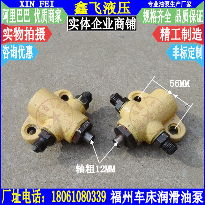 R13-1福州立钻柱塞油泵Z5163盐城活塞泵 钻床润滑油泵配件微型