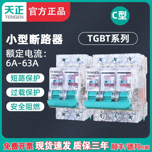 天正TENGEN透明空气开关TGBT-63A小型断路器32A工地临时用电DZ47