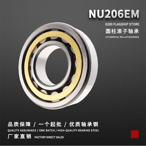 圆柱滚子轴承NU305 306 307 308 309 310 311 312 313 314 315 EM