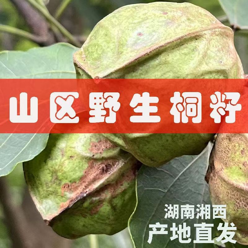 现货湖南湘西熟桐油木用防水防腐耐候木油油漆原料木质家具漆