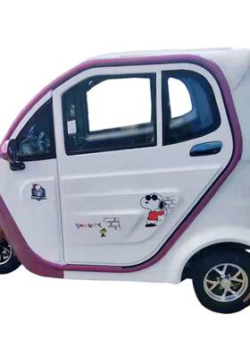 全封闭电动三轮车 全封闭式观光车 代步车家用封闭三轮车