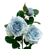 齐浩厂家直批 饰假花 餐厅装 High End仿真手感3头英国玫瑰花