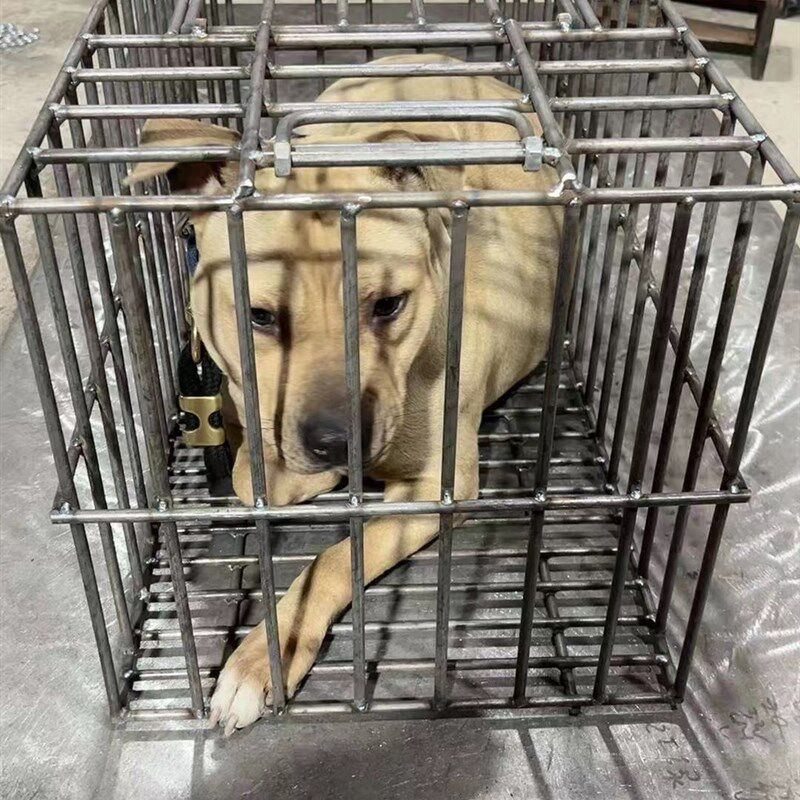加粗款钢筋狗笼钢筋托运笼狗笼车载笼尺寸7I54040,8毫米钢筋