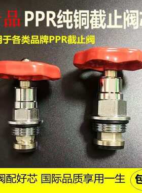 日丰同款PPR截止阀阀芯PE阀门芯升降式铜阀芯开关配件水暖管件