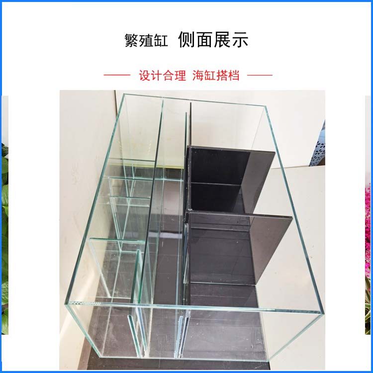 小丑繁殖缸/海缸背滤/小型海水z缸/ 金晶超白/珊瑚小丑鱼/水族箱