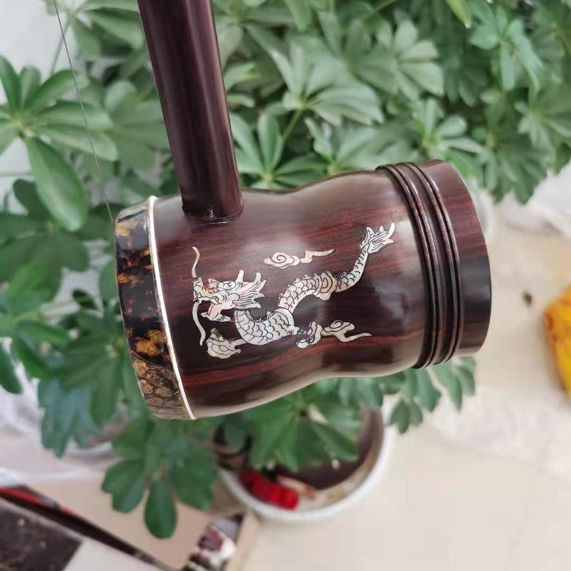 老红木瑞m龙贝雕广东高胡
